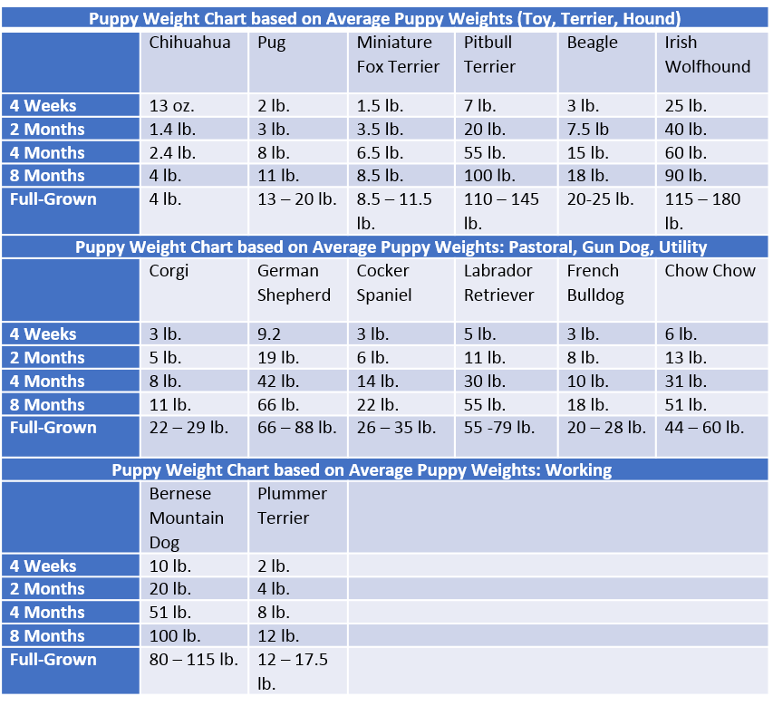 Beauty Weight Chart