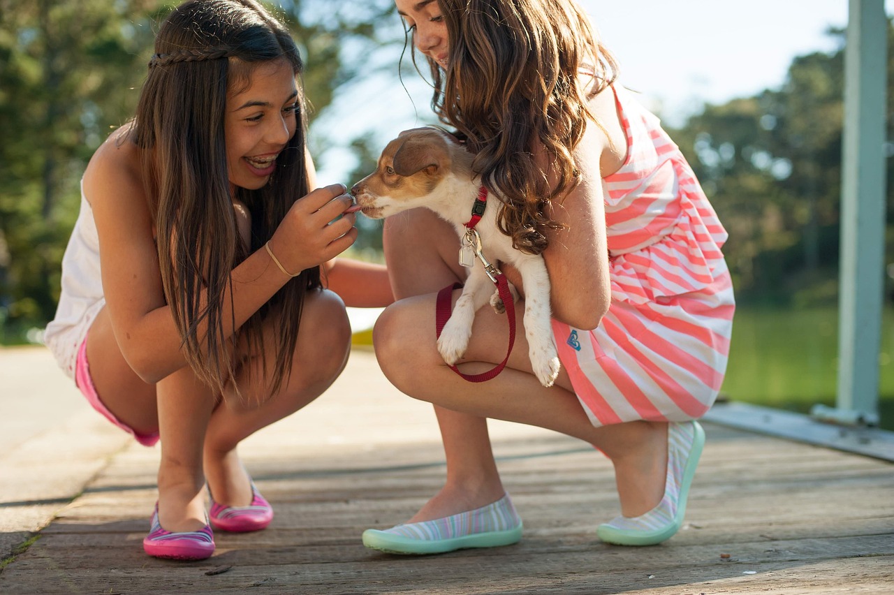 puppy socialization stages